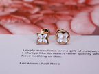 ⭐Miroze STAR AND SUN PINK GOLD MOP STUD EARRINGS