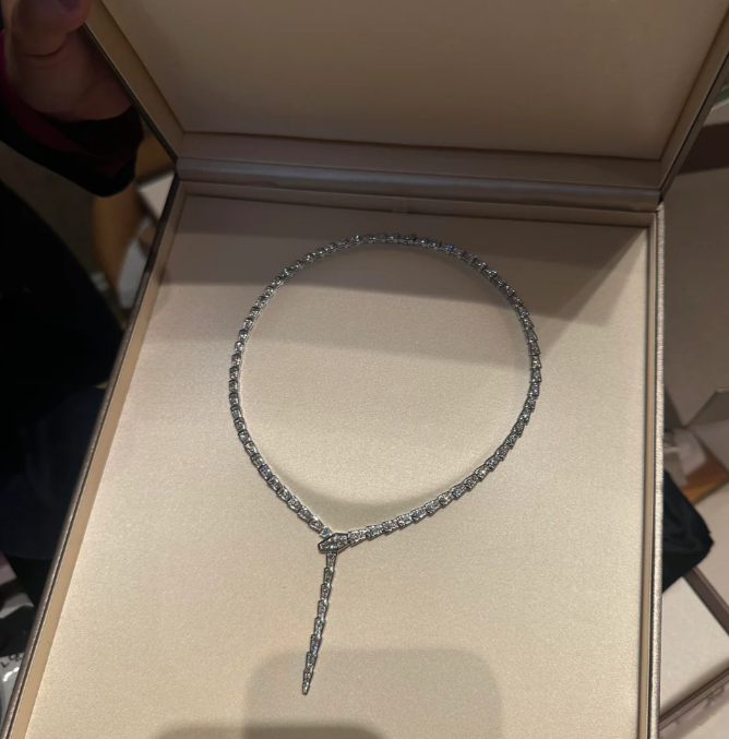 [⭐Miroze]NEW！SERPENT DIAMOND NECKLACE