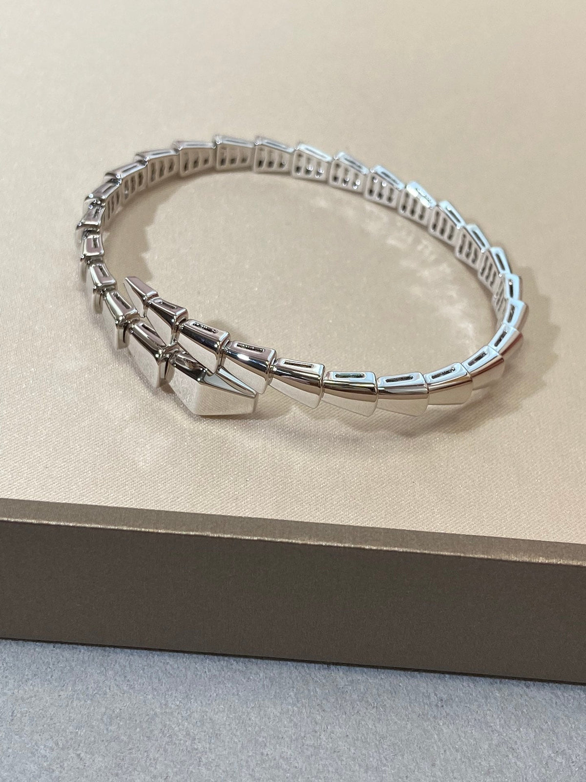 [⭐Veya]SERPENTI VIPER SILVER BRACELET